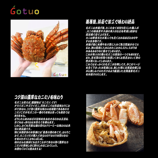 北海道産　毛ガニ　800g前後