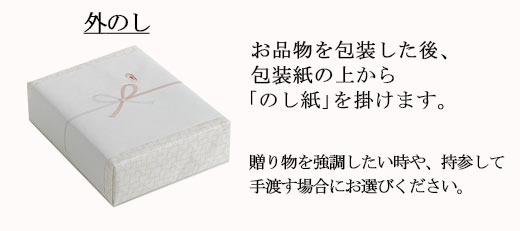 今治謹製オーガニックタオル　 オーガニックパイル　フェイスタオル２枚　IOG3930