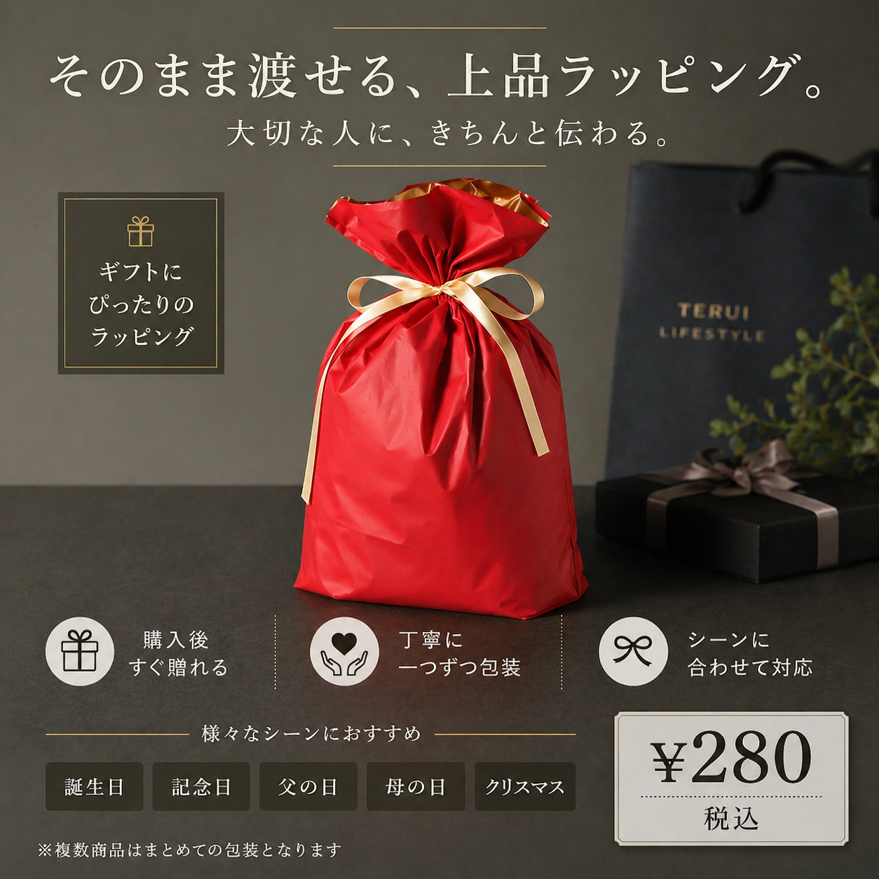 TERUI Lifestyle プレミアム靴磨き７点セット