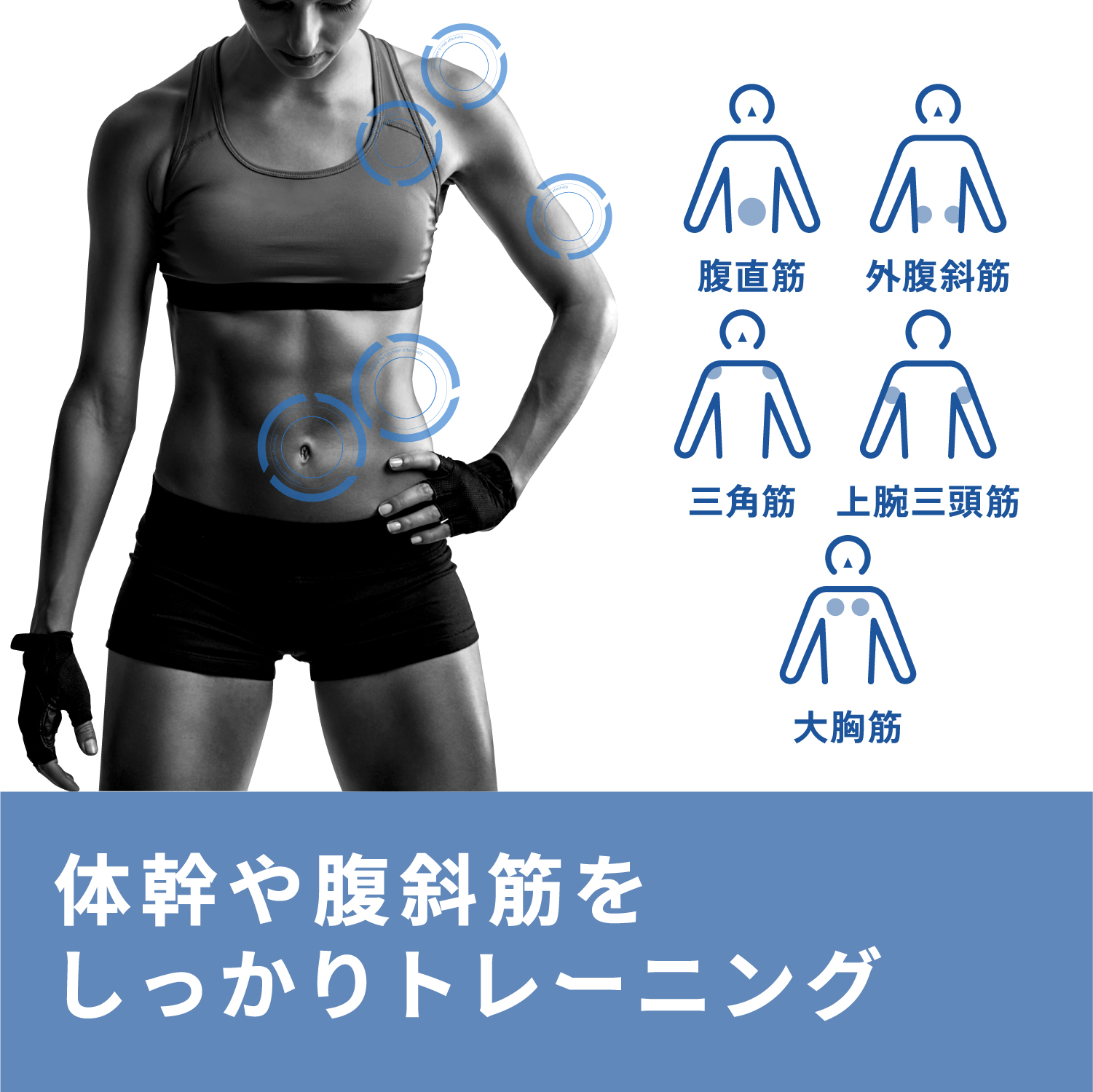 エクリアスポーツ 腹筋ローラー 1輪タイプ