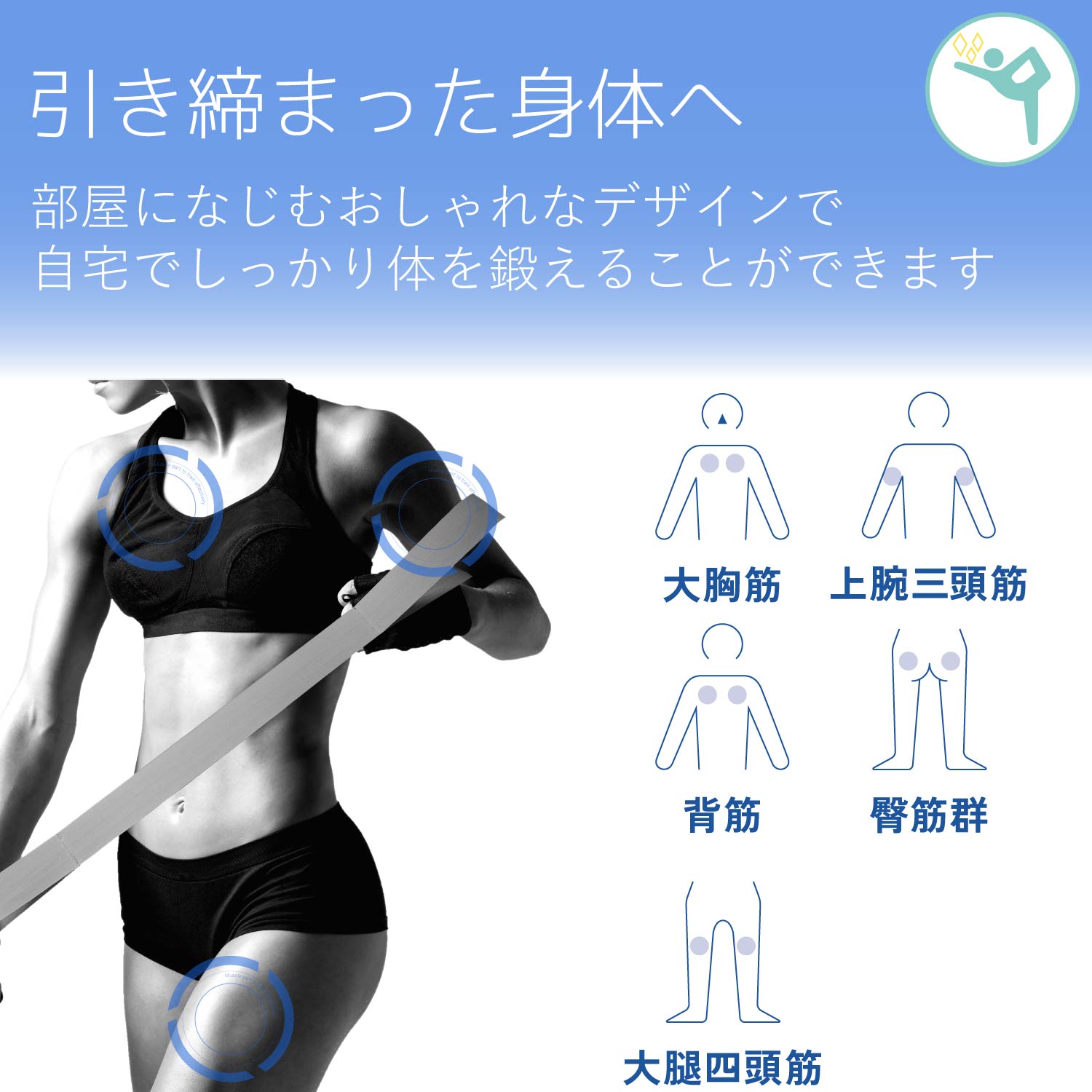 エクリアスポーツ トレーニングファブリックバンド エクストラストロング