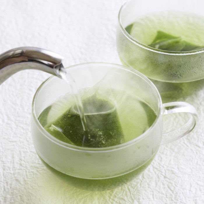 本格ティーバッグギフト 上級煎茶＆焙じ茶 茶缶入り (TG-00)