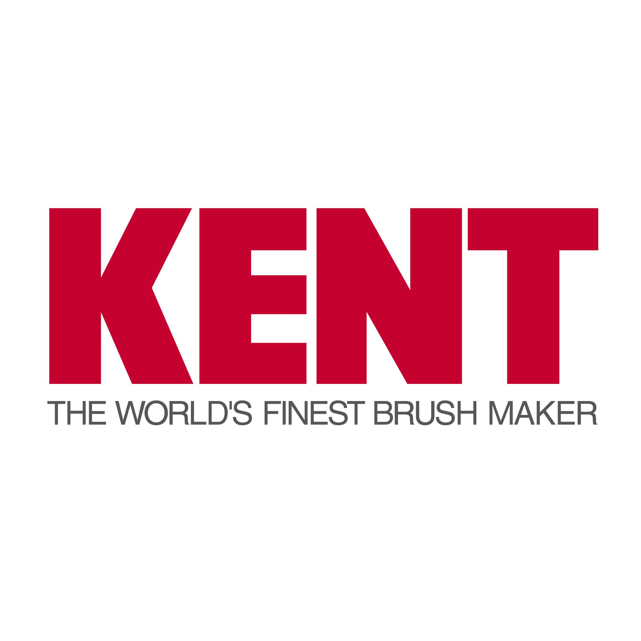 ブラッシングブラシセット女性用