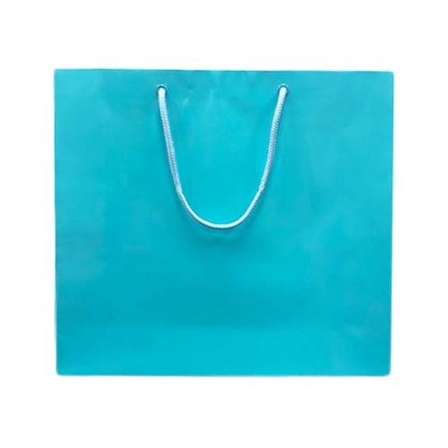 Food&Fan シリーズ