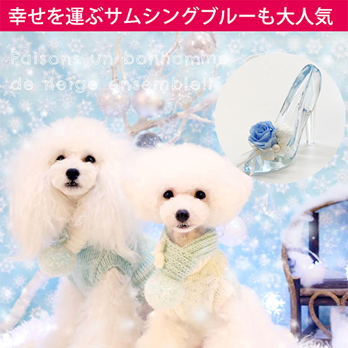 【彫刻入り】シンデレラ プリザーブドフラワー-プレミアム