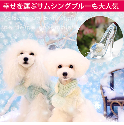 【彫刻入り】シンデレラ プリザーブドフラワーギフト