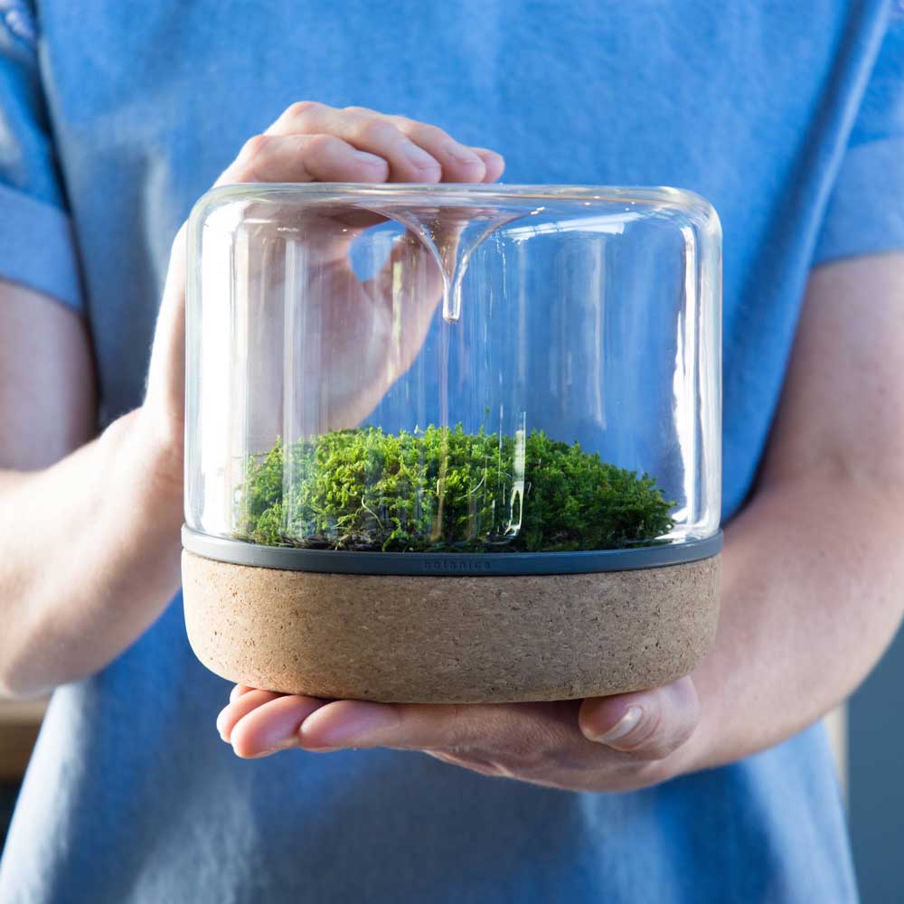 Sanctuary M Rainforest