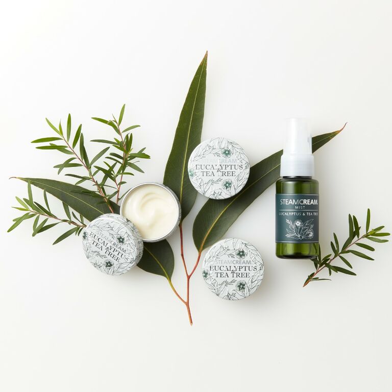 ユーカリティーツリーmini