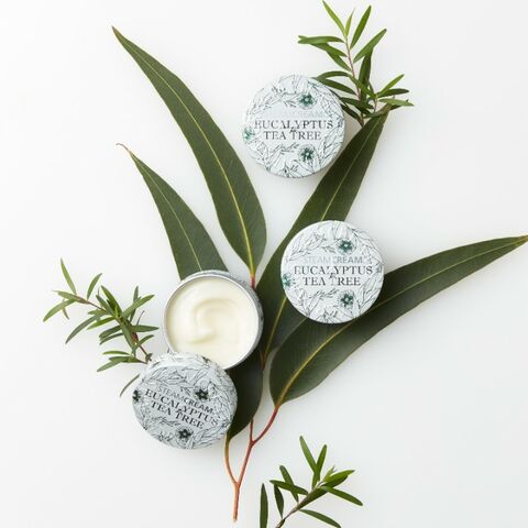 ユーカリティーツリーmini