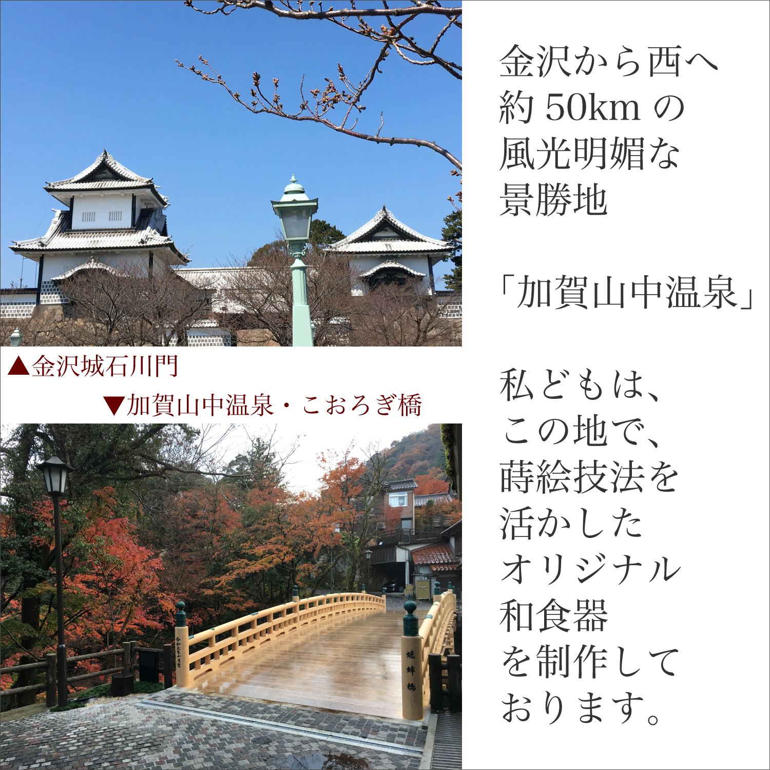 うるしけんこう箸 黒 食洗機対応