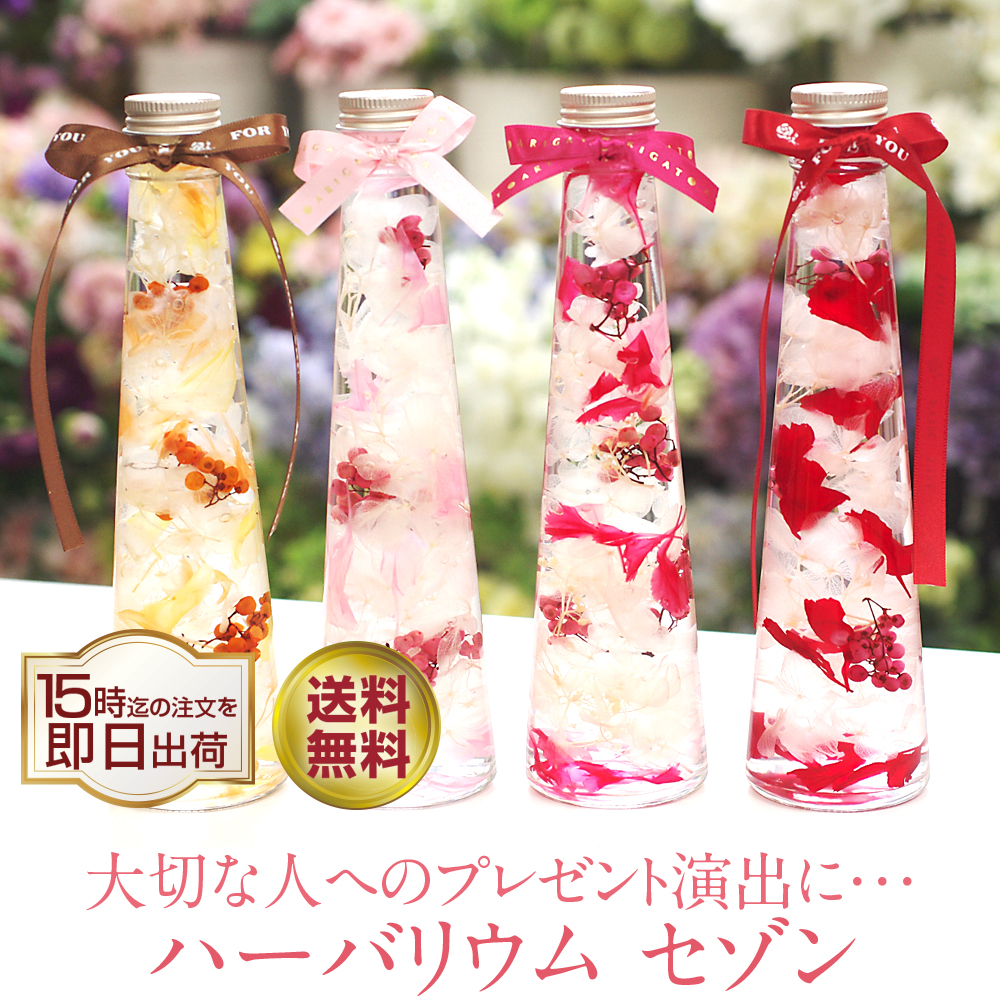 ハーバリウム-セゾン