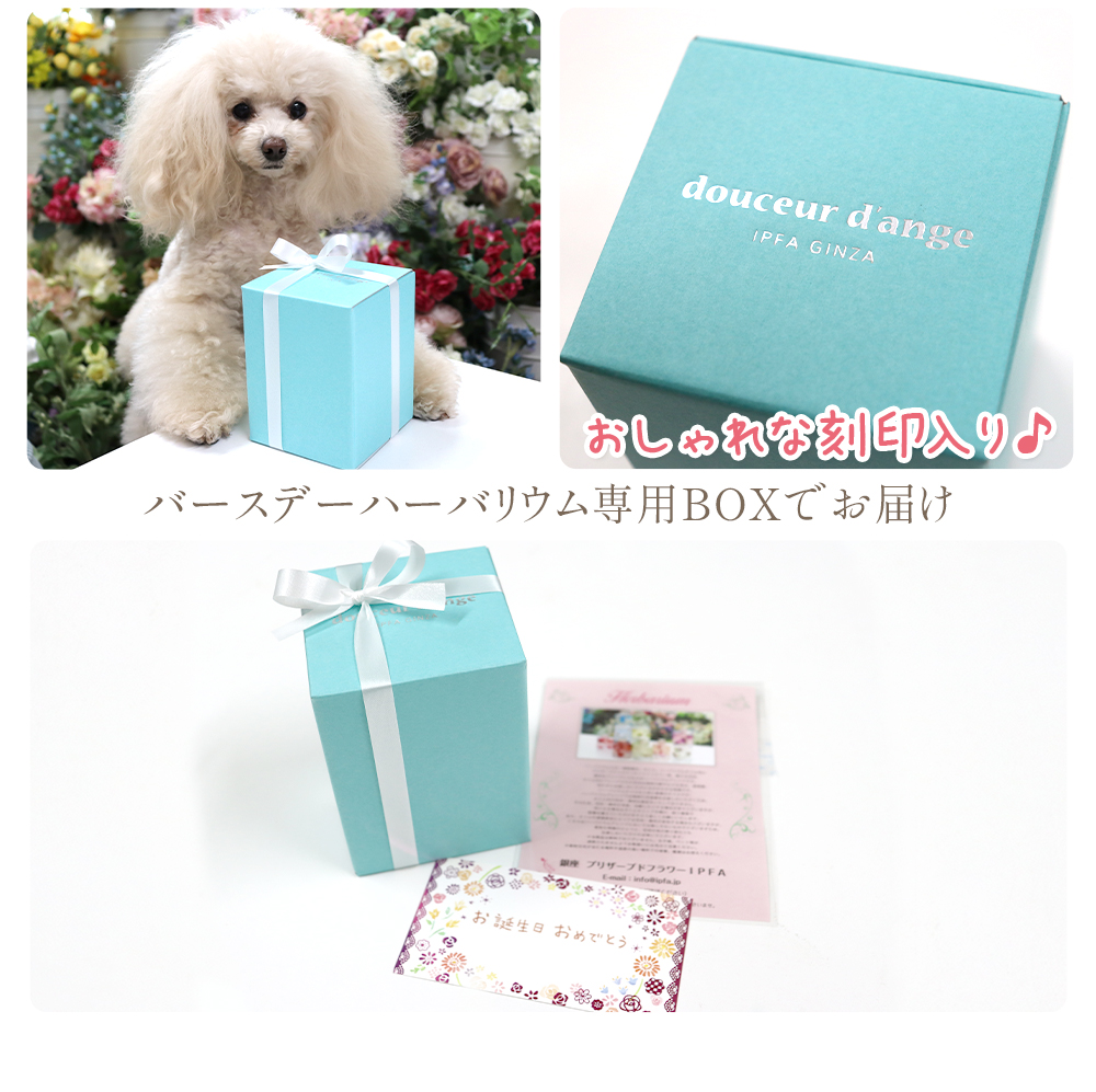 ハーバリウム バースデー 誕生日 結婚祝い プレゼント ギフト 女性 プリザーブドフラワー