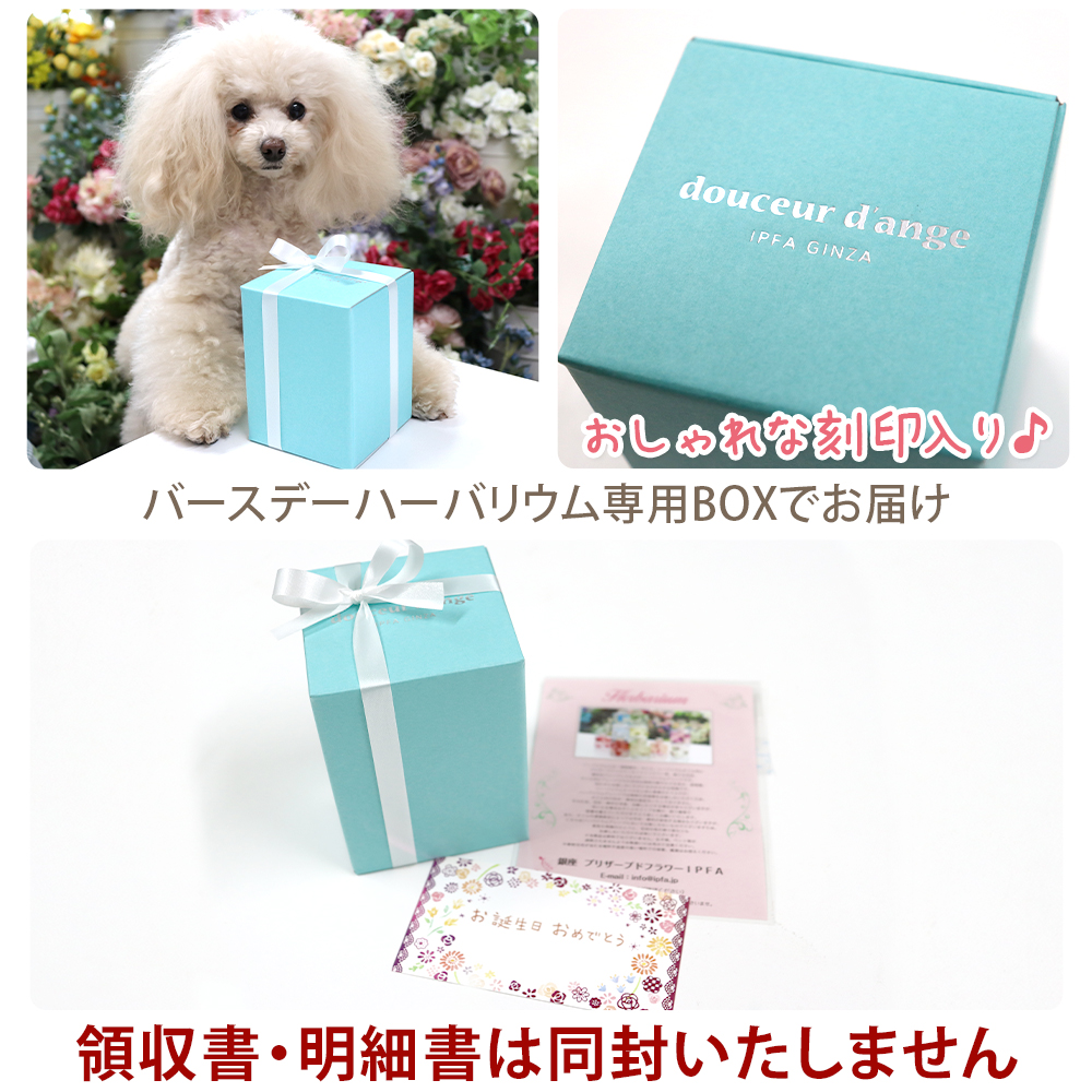 ハーバリウム-バースデー