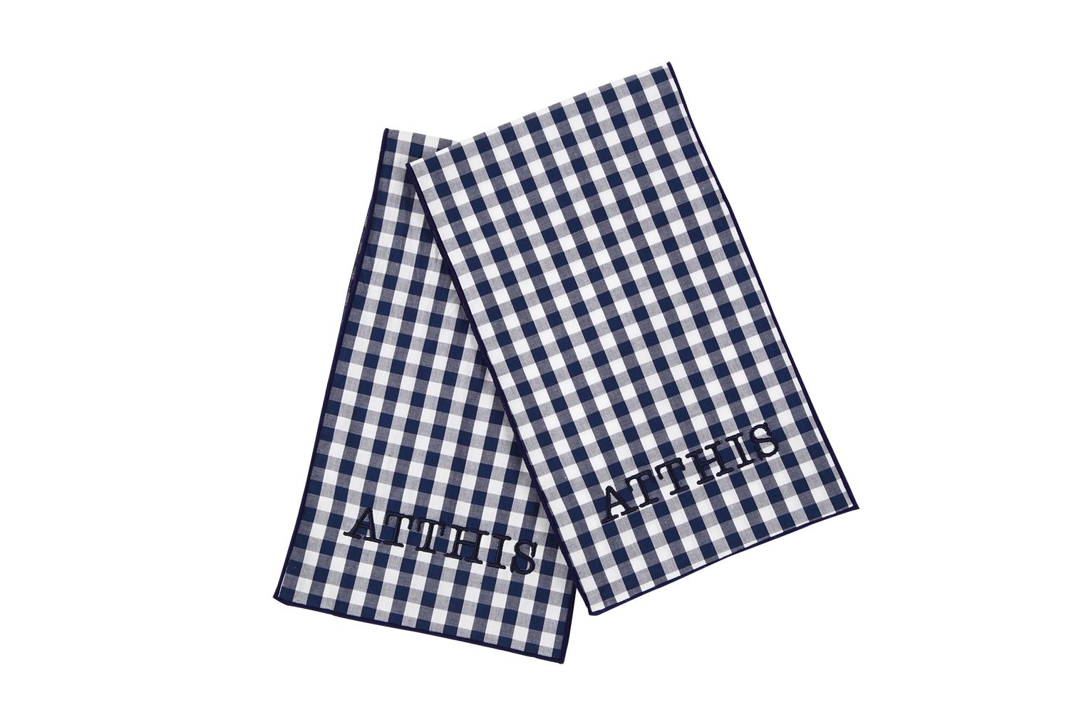 Ribbon gingham check blue