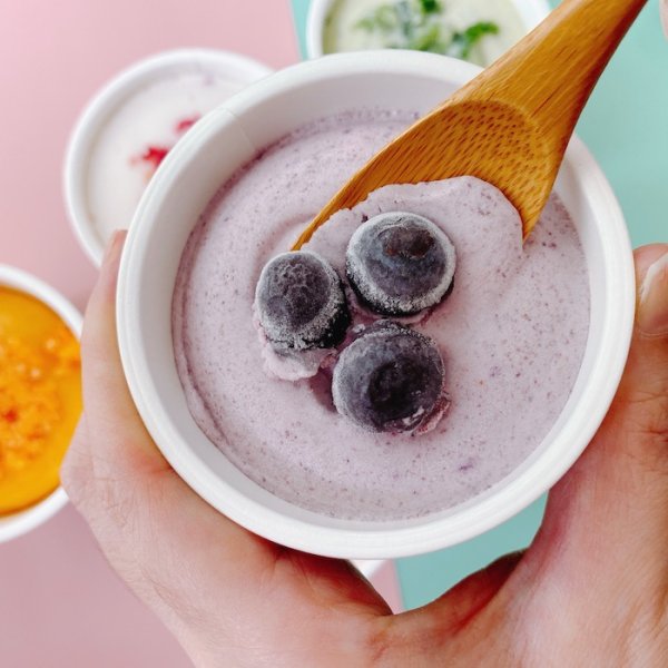 とれたて野菜と果実の生ジェラート 6個入