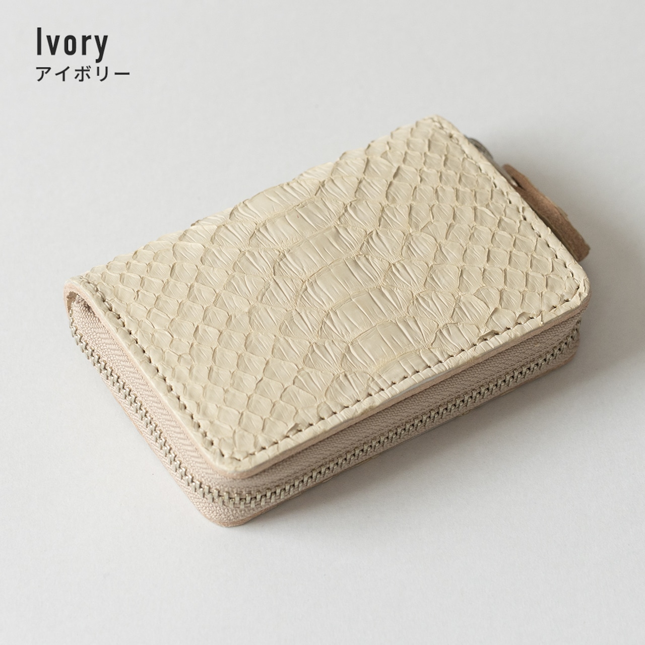 ミニウォレット　ラウンドジップ　マットパイソン