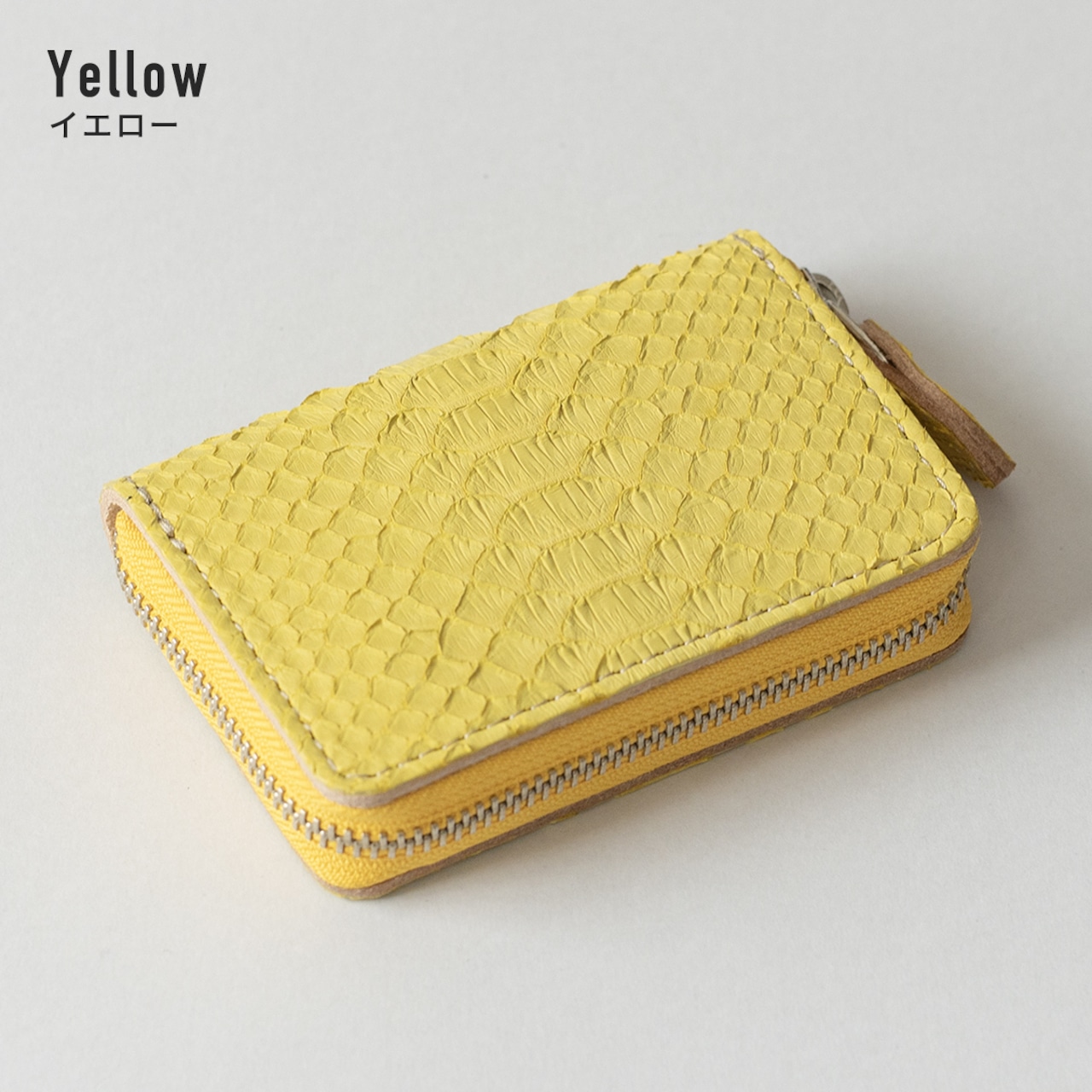 ミニウォレット　ラウンドジップ　マットパイソン