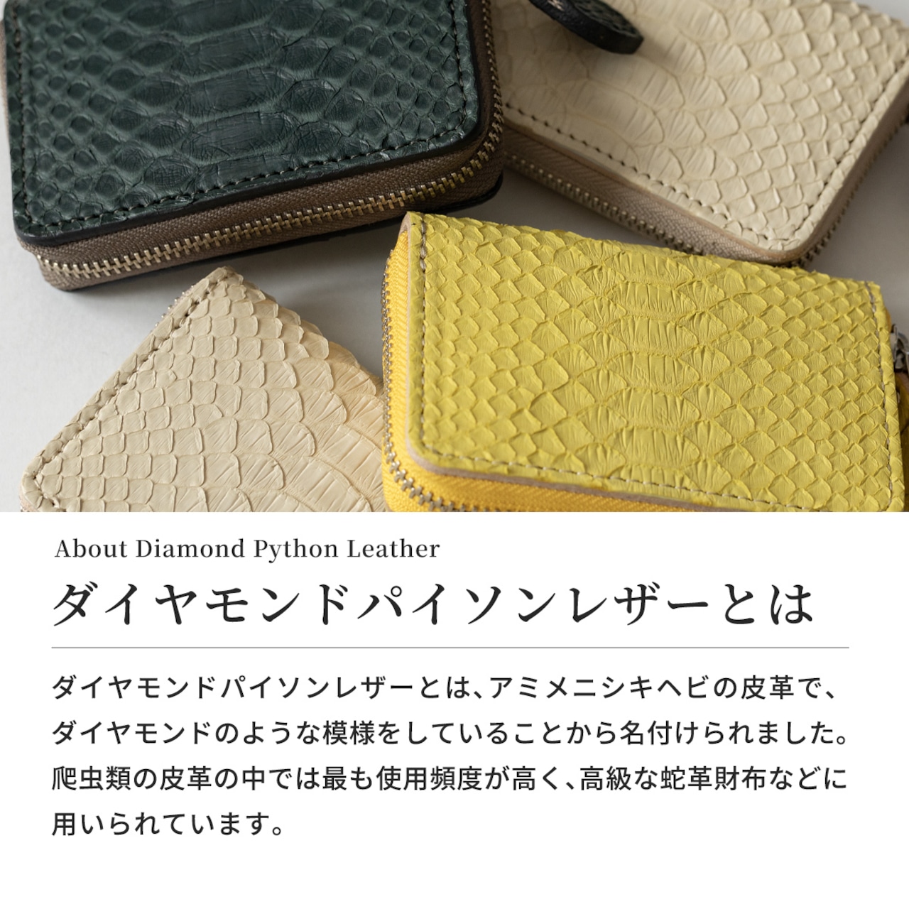 ミニウォレット　ラウンドジップ　マットパイソン