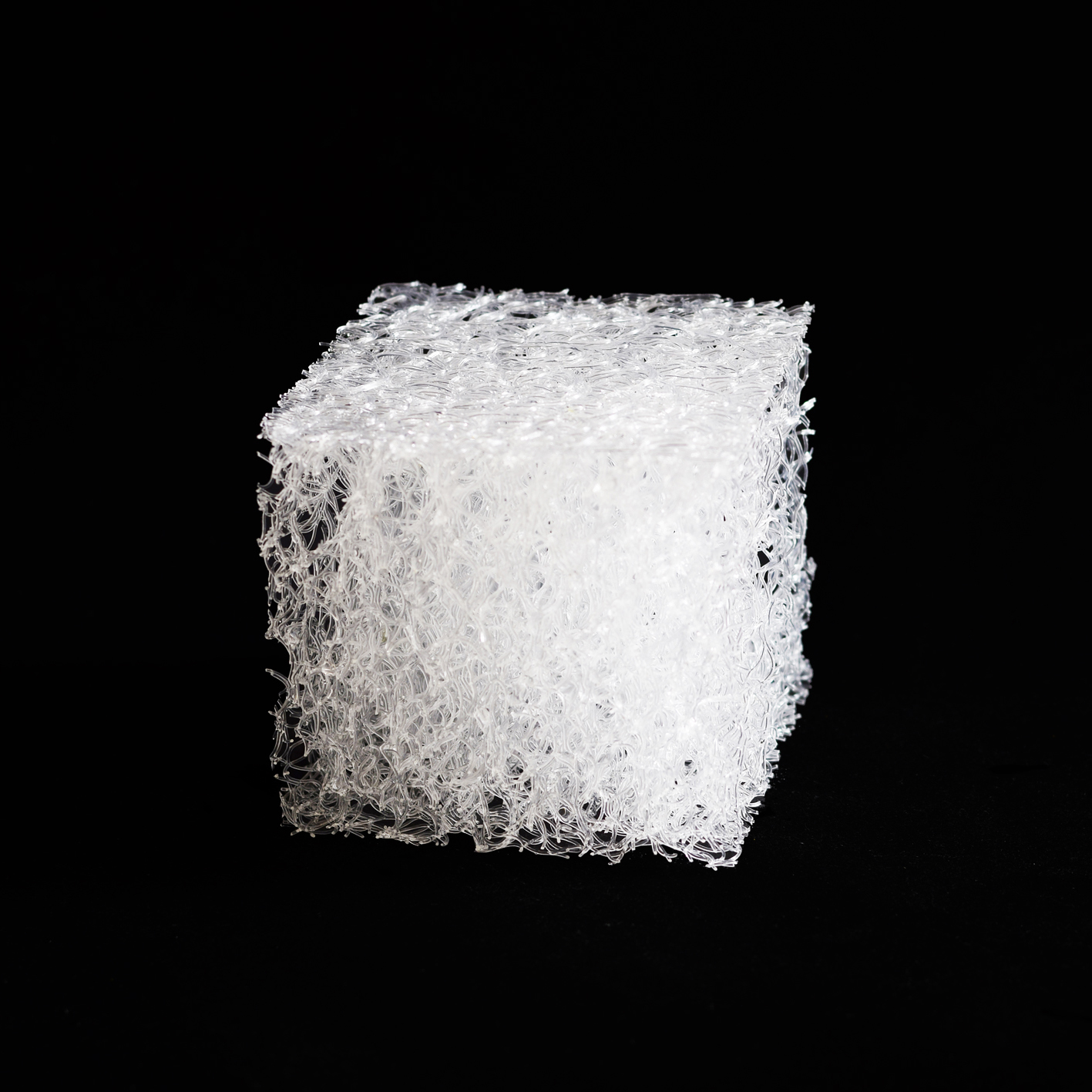 OASIS110 + Glass vase  