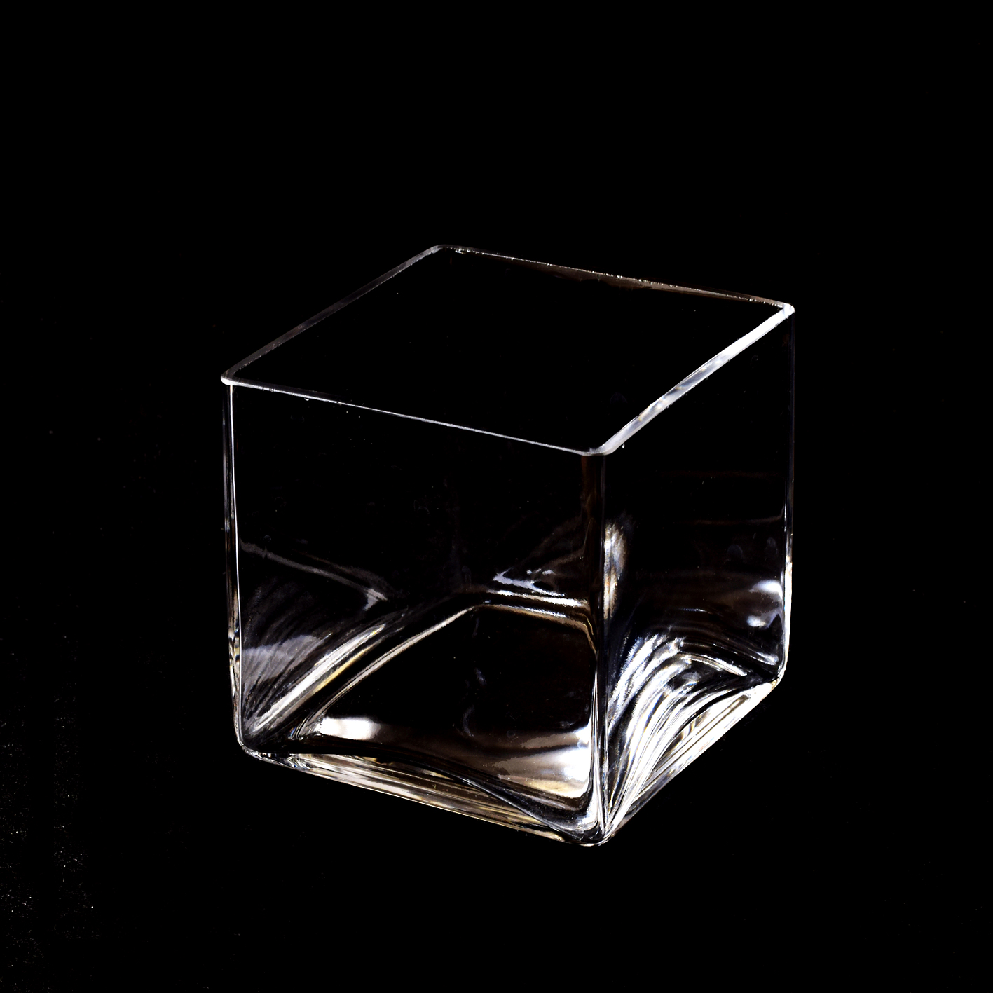 OASIS110 + Glass vase  