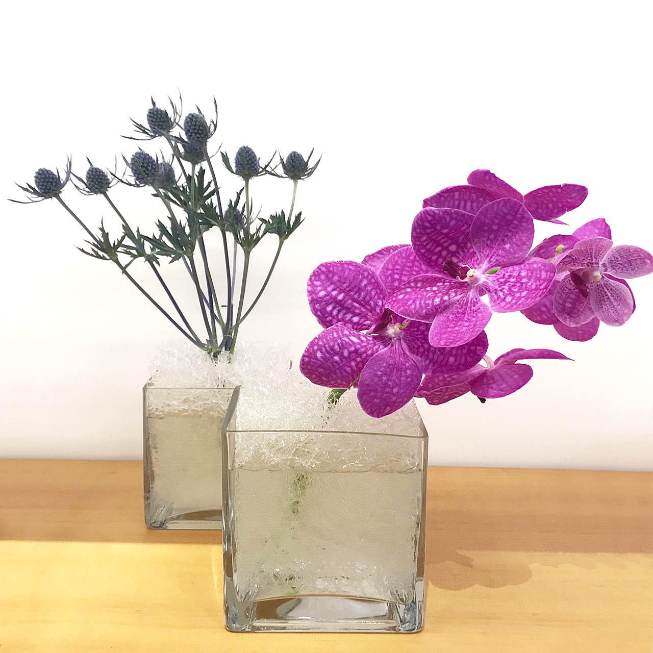 OASIS110 + Glass vase | MIYAVIE（ミヤヴィエ）のプレゼント・ギフト