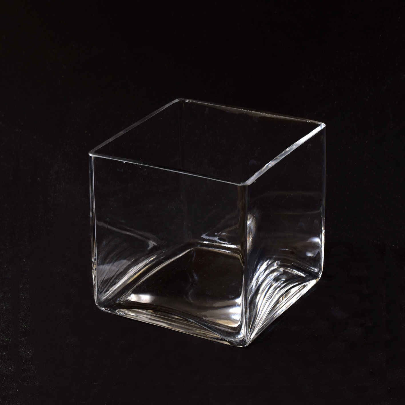 OASIS110 + Glass vase  