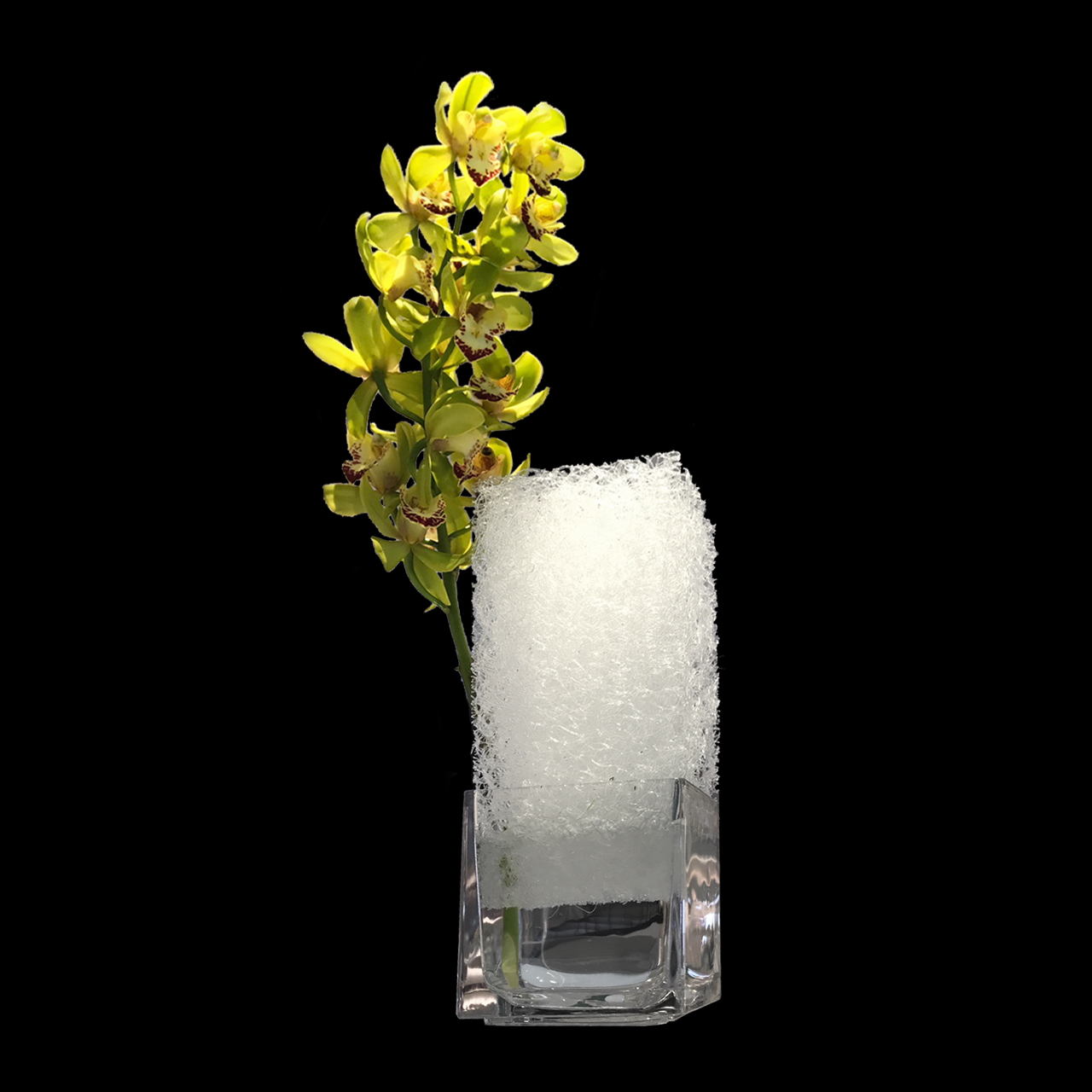 OASIS110 + Glass vase  