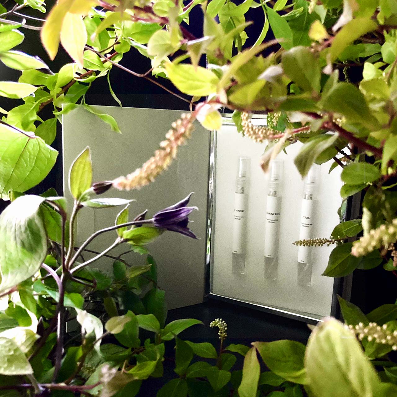 PORTABLE ROOM FRAGRANCE MIST 3pcs set