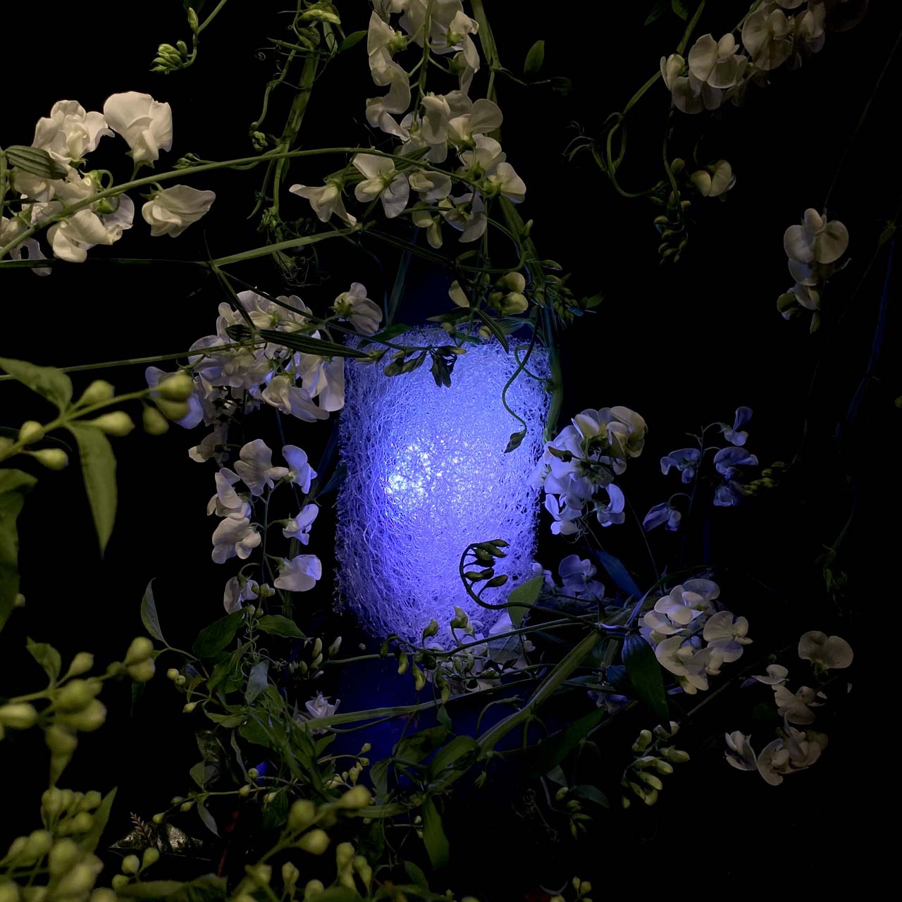 CUBE LIGHT 220