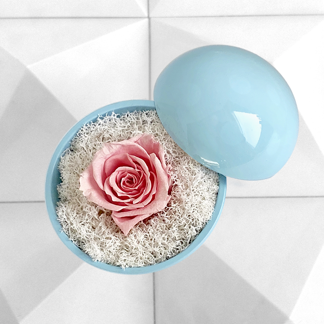flower of love - globe "baby pink rose & white moss"