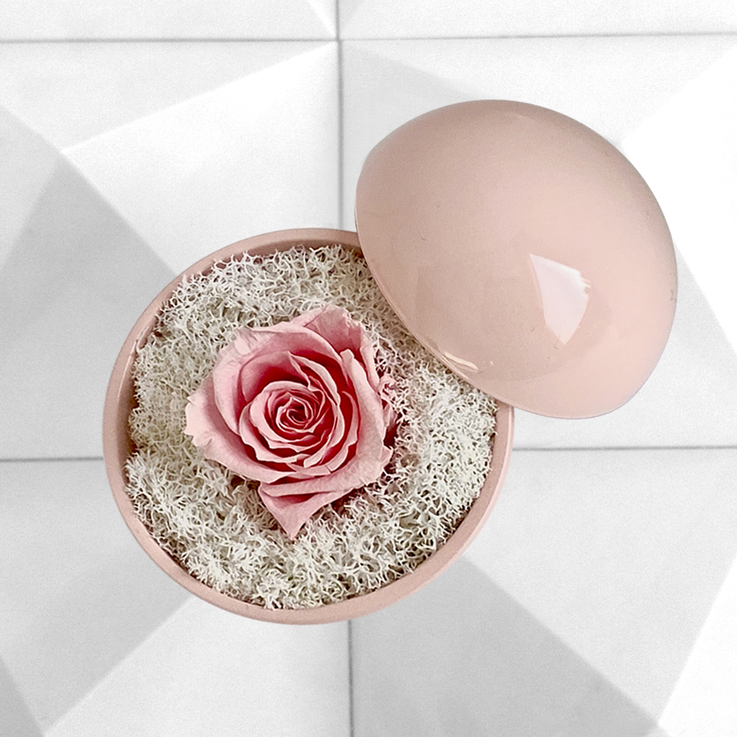 flower of love - globe "baby pink rose & white moss"