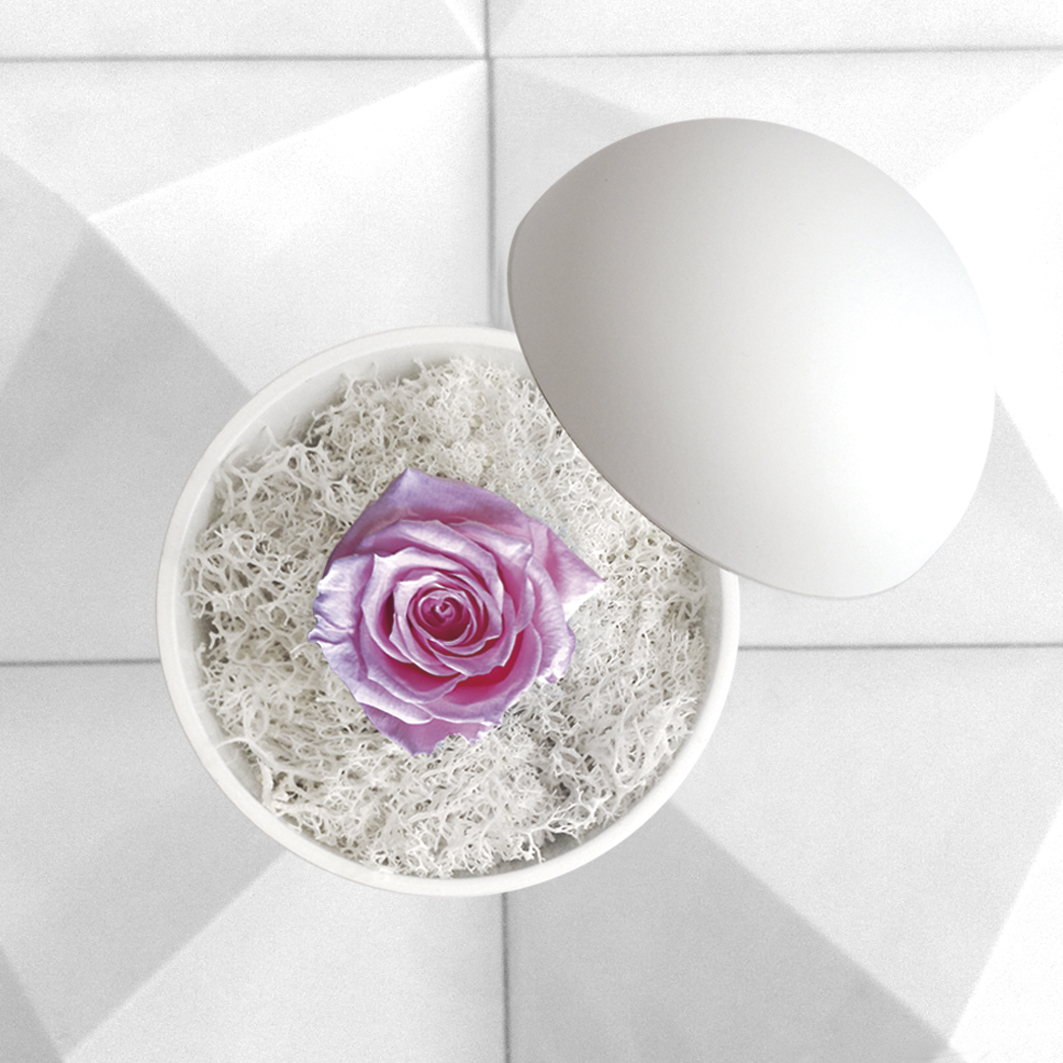 flower of love - globe "baby pink rose & white moss"