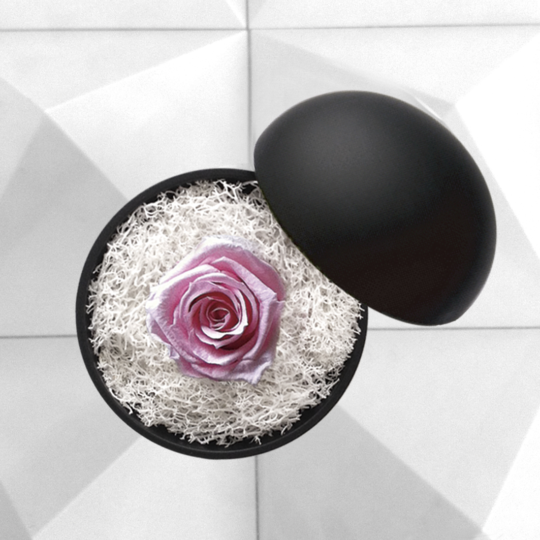flower of love - globe "baby pink rose & white moss"