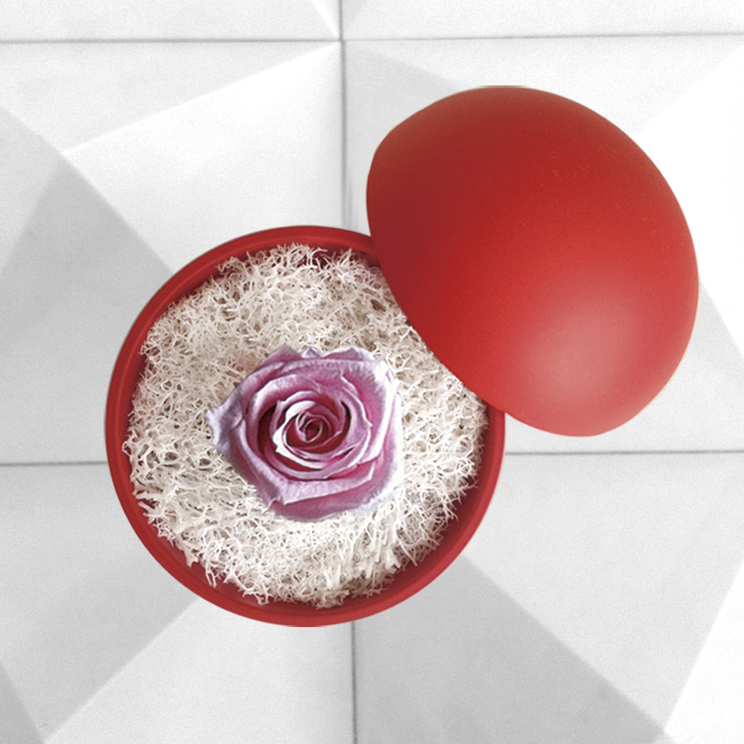 flower of love - globe "baby pink rose & white moss"
