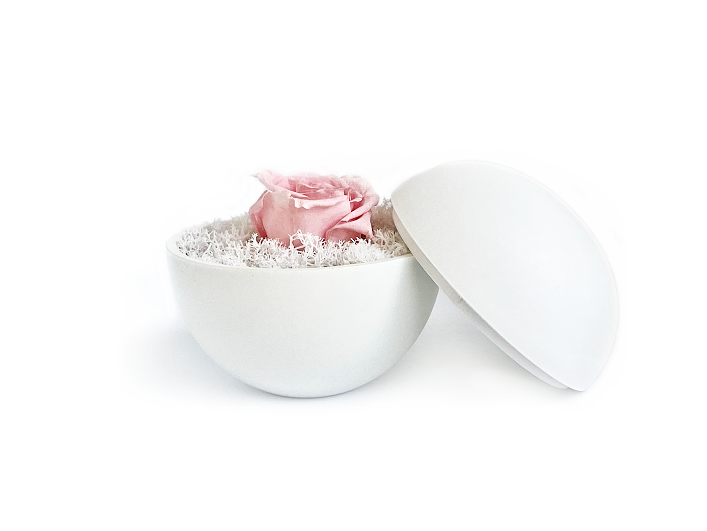 flower of love - globe "baby pink rose & white moss"