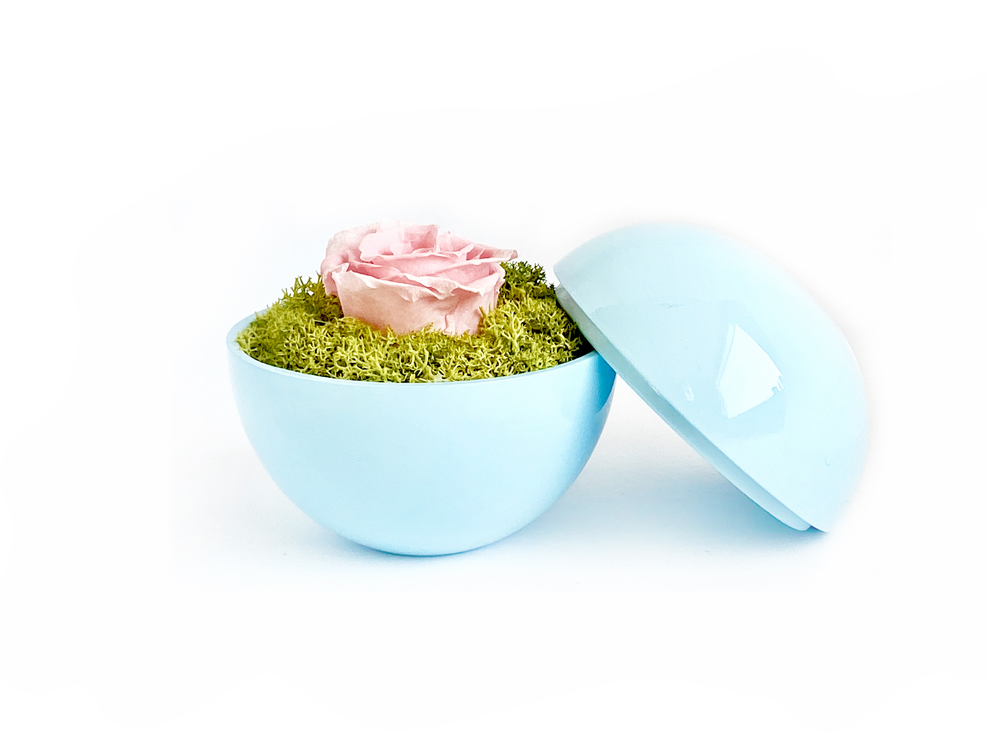 flower of love - globe "baby pink rose & green moss"