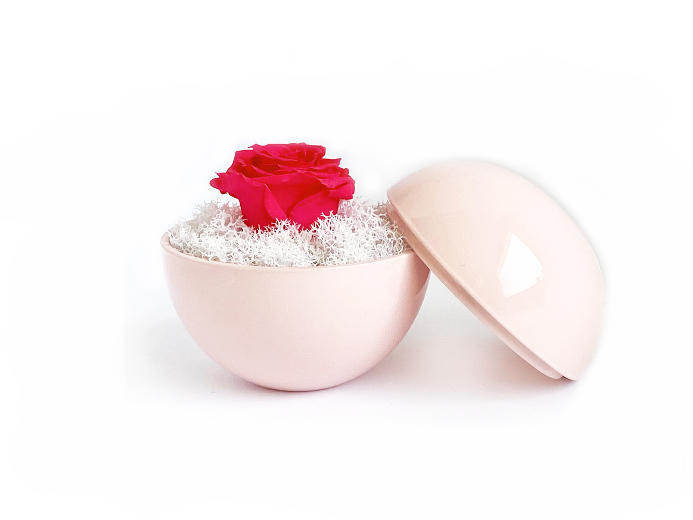 flower of love - globe "hot pink rose & white moss"