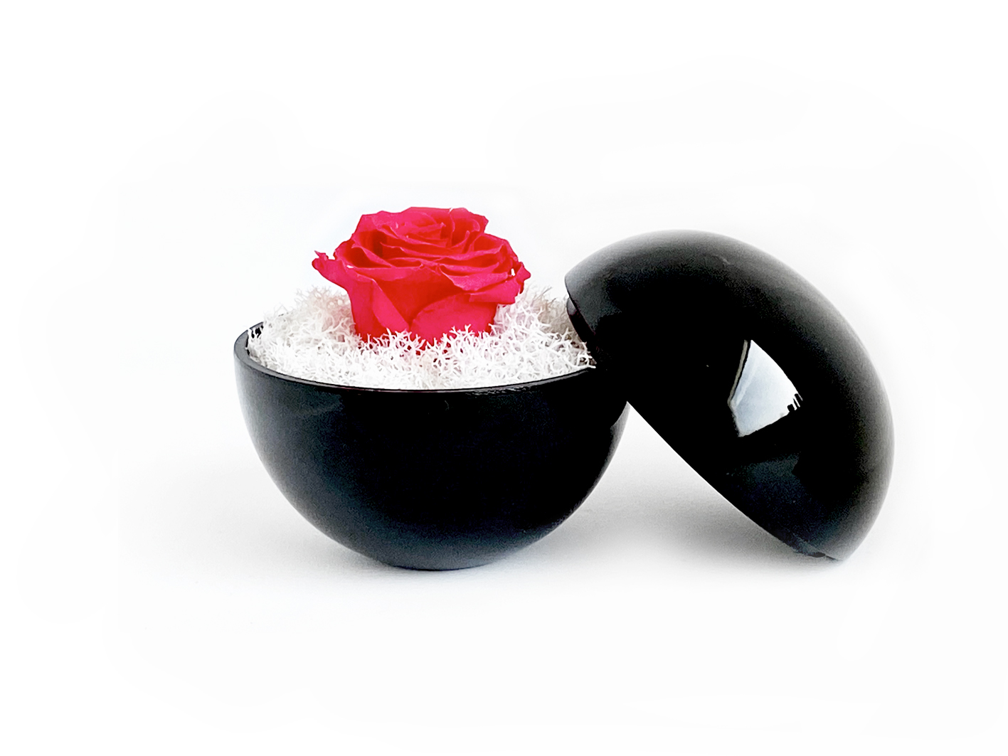 flower of love - globe "hot pink rose & white moss"