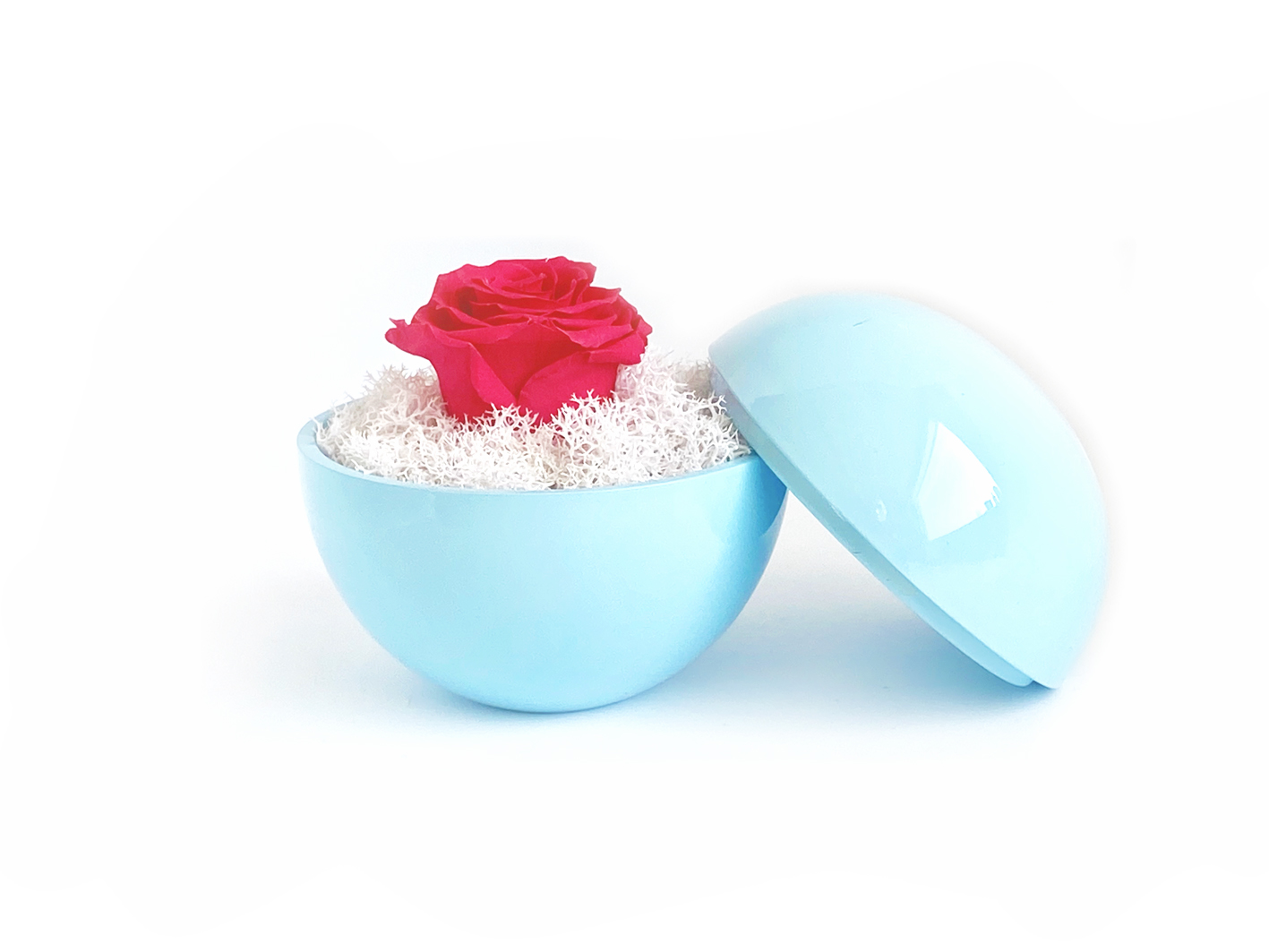 flower of love - globe "hot pink rose & white moss"