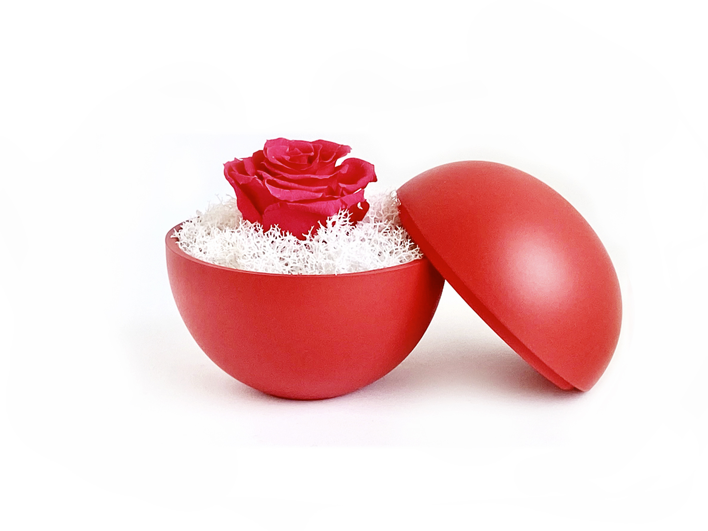 flower of love - globe "hot pink rose & white moss"