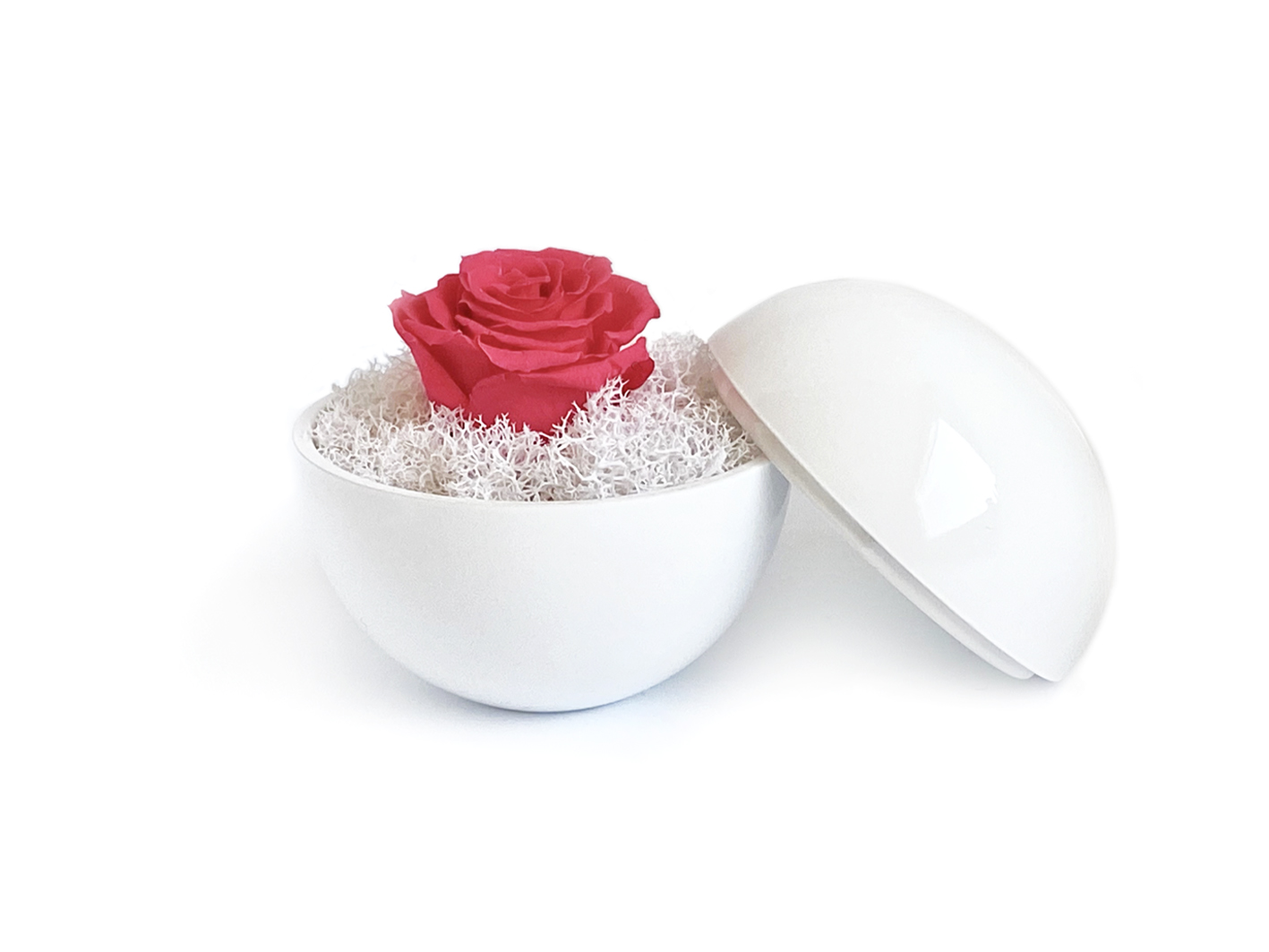 flower of love - globe "hot pink rose & white moss"