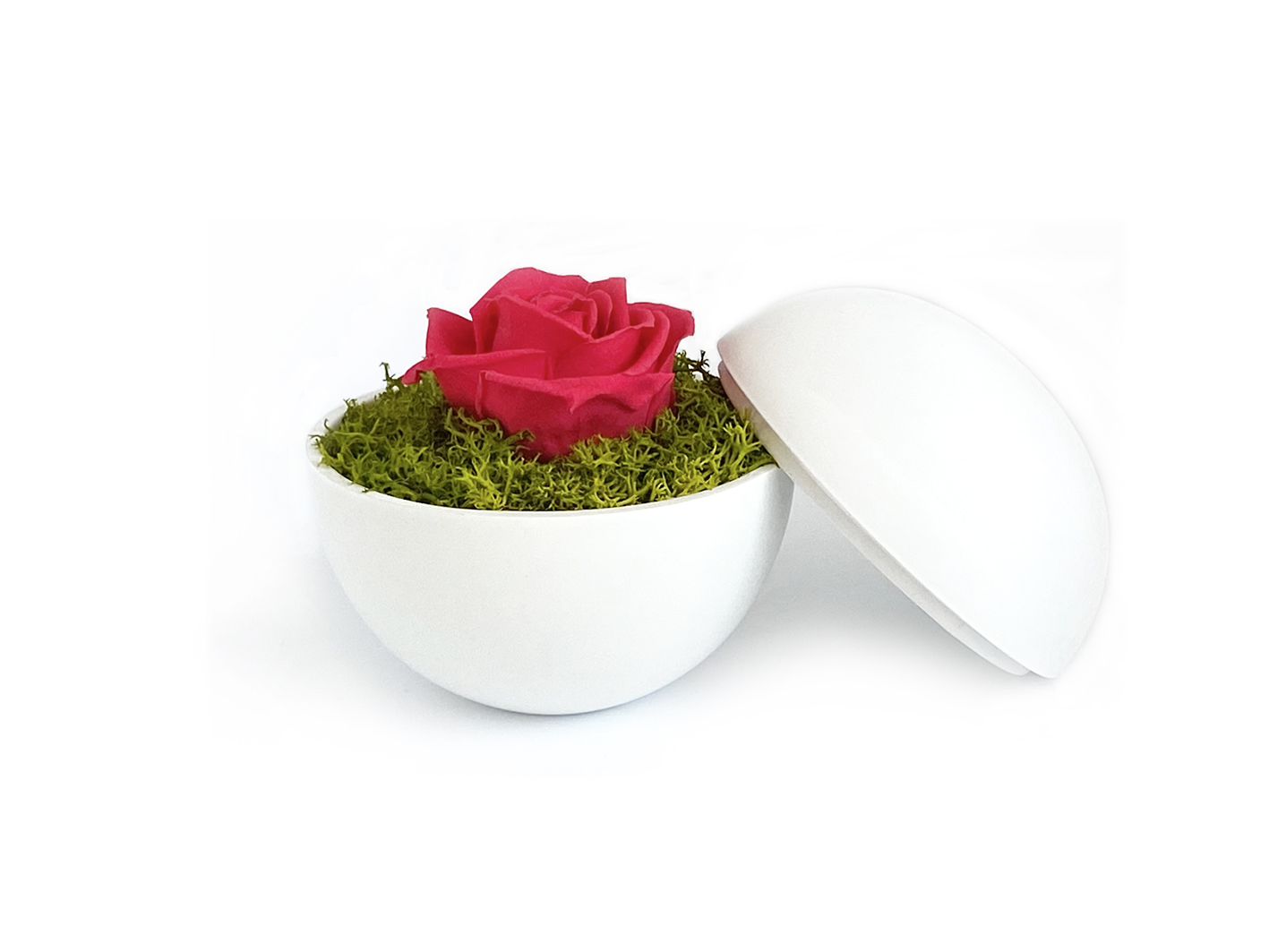 flower of love - globe 
