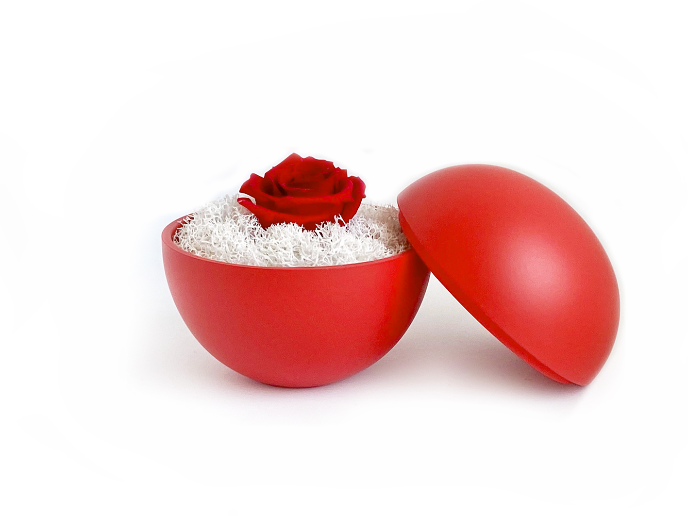 flower of love - globe "red rose & white moss"