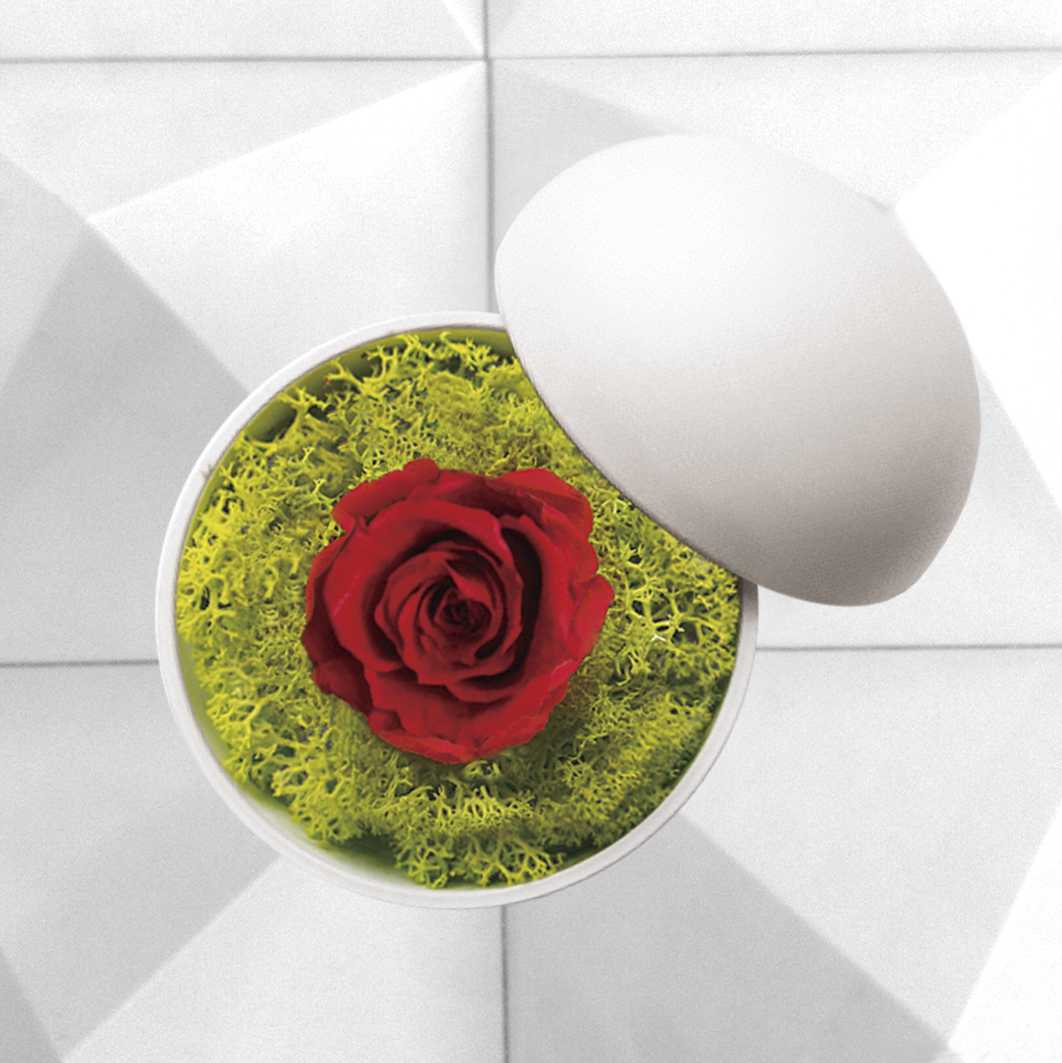 flower of love - globe "red rose & green moss"