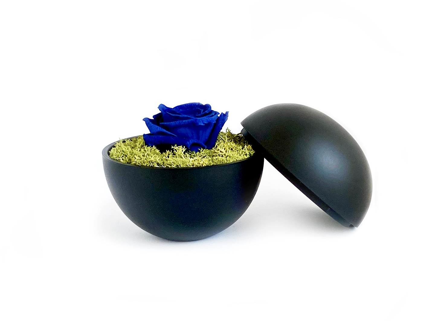 flower of love - globe "blue rose & green moss"