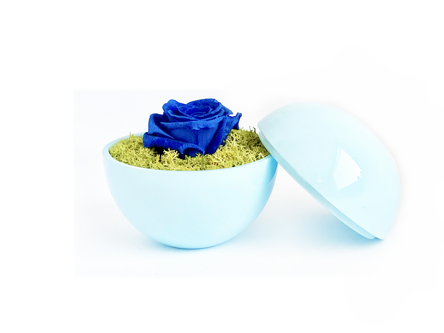 flower of love - globe "blue rose & green moss"