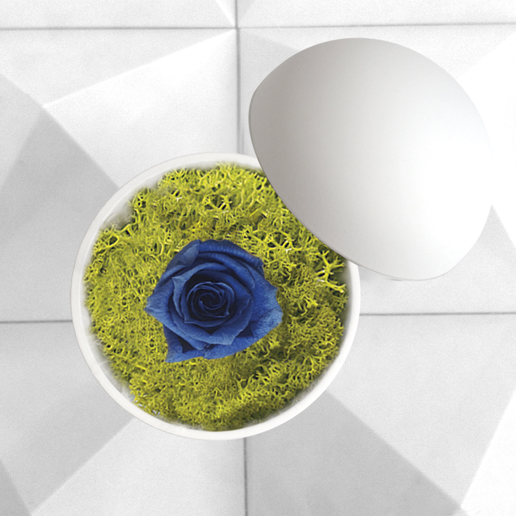 flower of love - globe "blue rose & green moss"