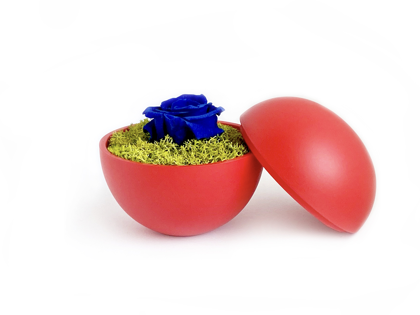 flower of love - globe "blue rose & green moss"