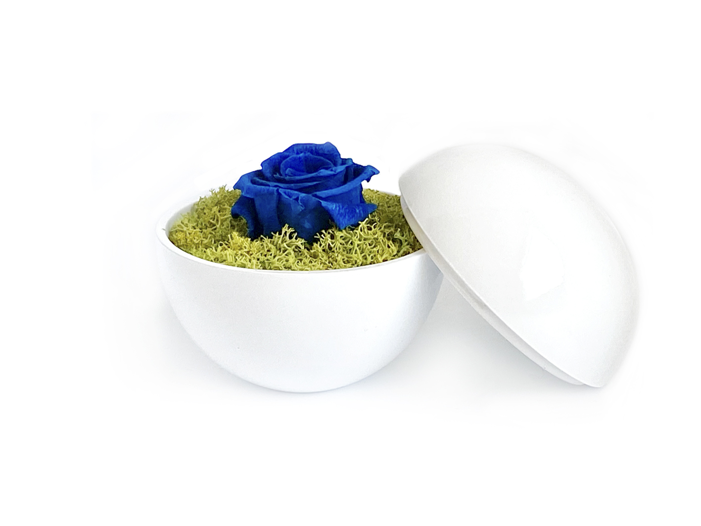 flower of love - globe "blue rose & green moss"