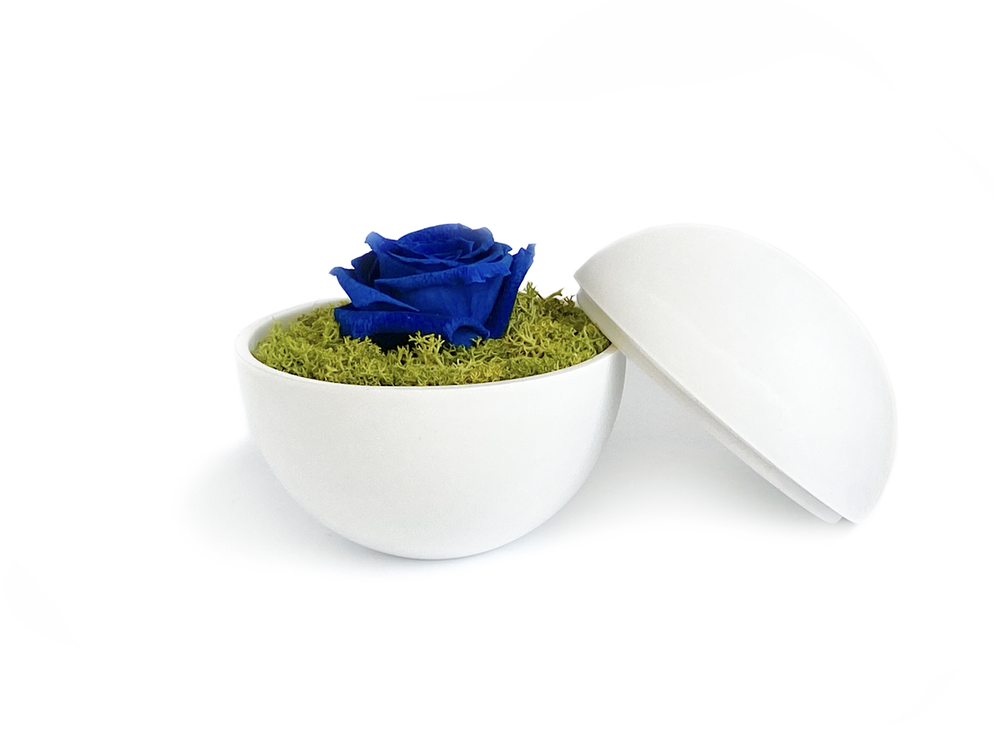 flower of love - globe "blue rose & green moss"